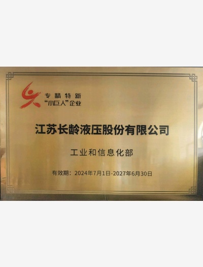 專精特新“小巨人”企業(yè)